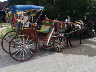 Horse drawn carriage in Nakhon Lampang